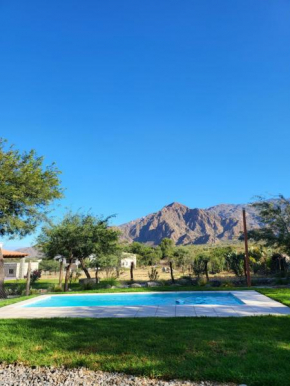 Casa Merlot - Viñedos de Cafayate Alquiler Temporario